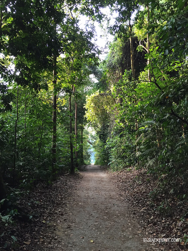 Macritchie trail