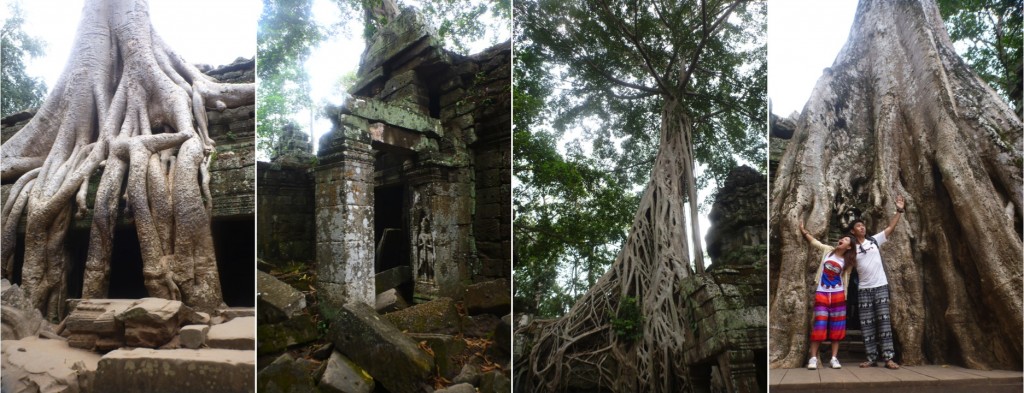 The famous ruins of Ta Prohm, overgrown with trees