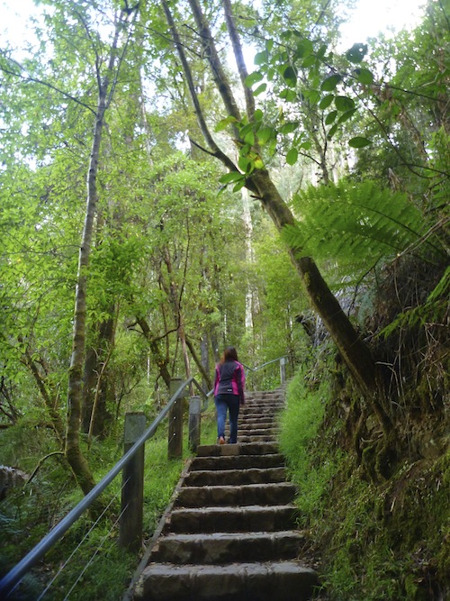 Steps to Erskine fall