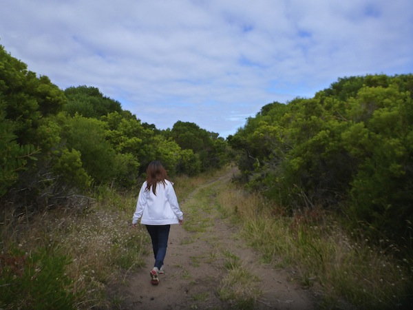 Bushwalking