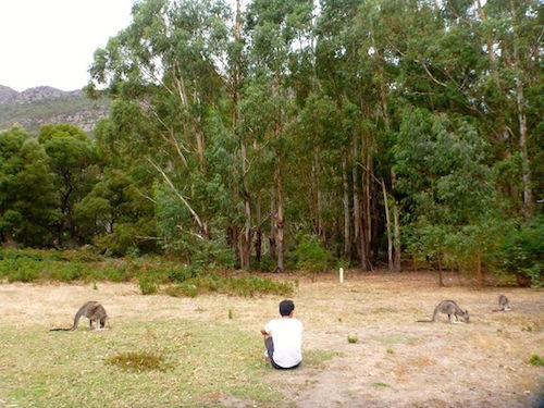 fyans-creek-grampians