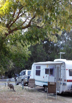 halls-gap-caravan-park