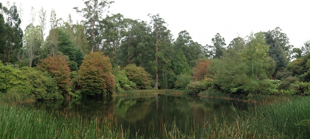 National Rhododendron Gardens, Dandenong Ranges