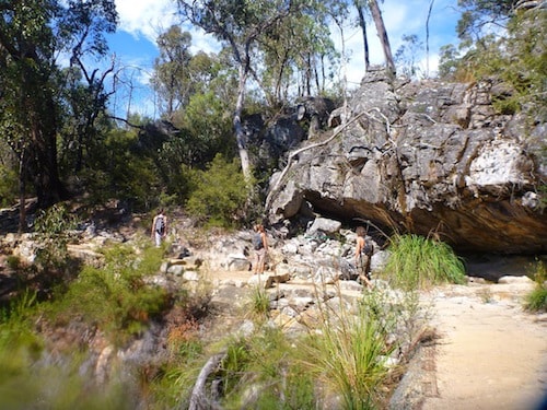 pinnacle-bushwalking