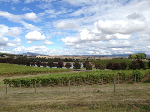 Vineyards at Yarra Glen