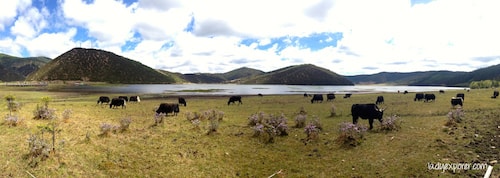 pudacuo national park