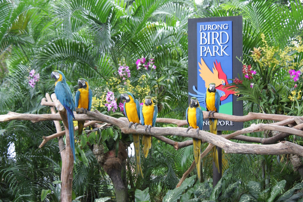 Jurong Birdpark