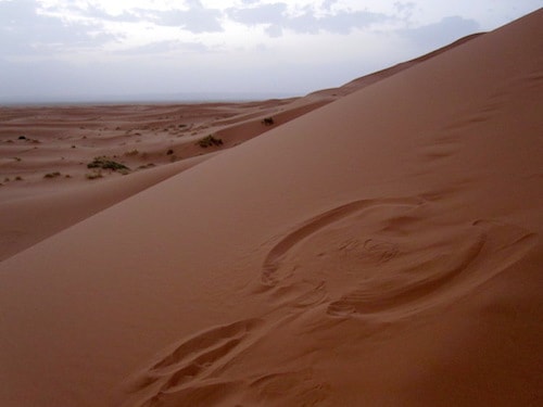 morocco sand dunes