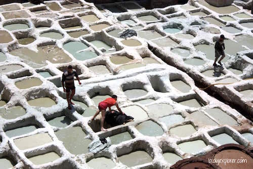 fes-tanneries-white