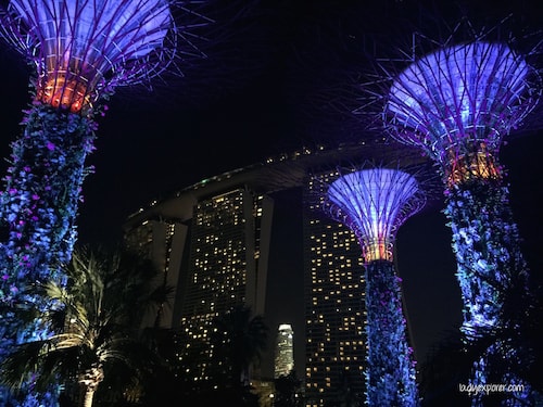 Gardens by the Bay