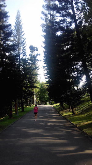 Kent Ridge Park