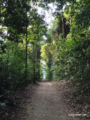 Award-winning Running Routes in Singapore