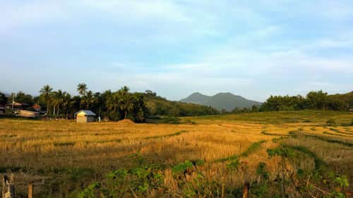 Going to Kuang Si Falls