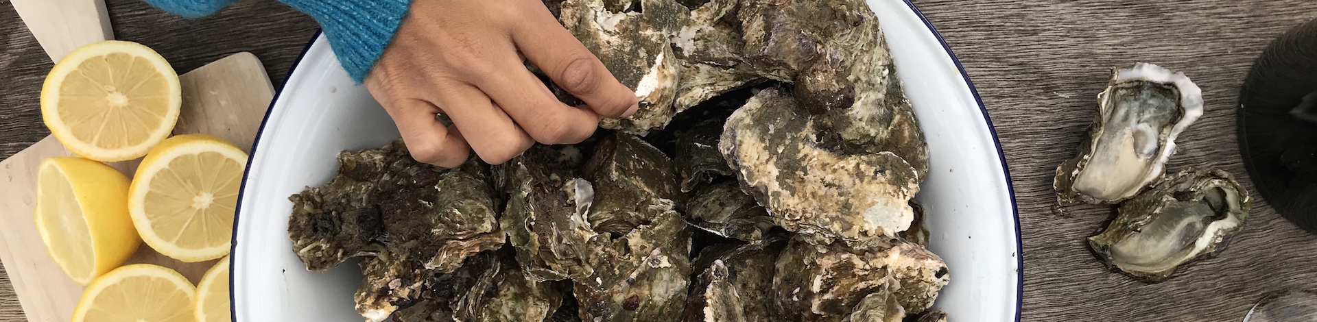 NZ's only oyster tour on the Shuckle Ferry with Matakana River Tours